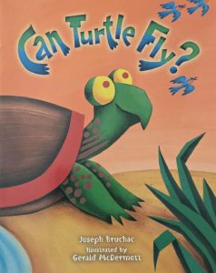 Can Turtle Fly